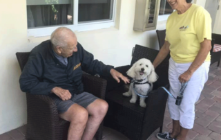 cost of dementia care in us