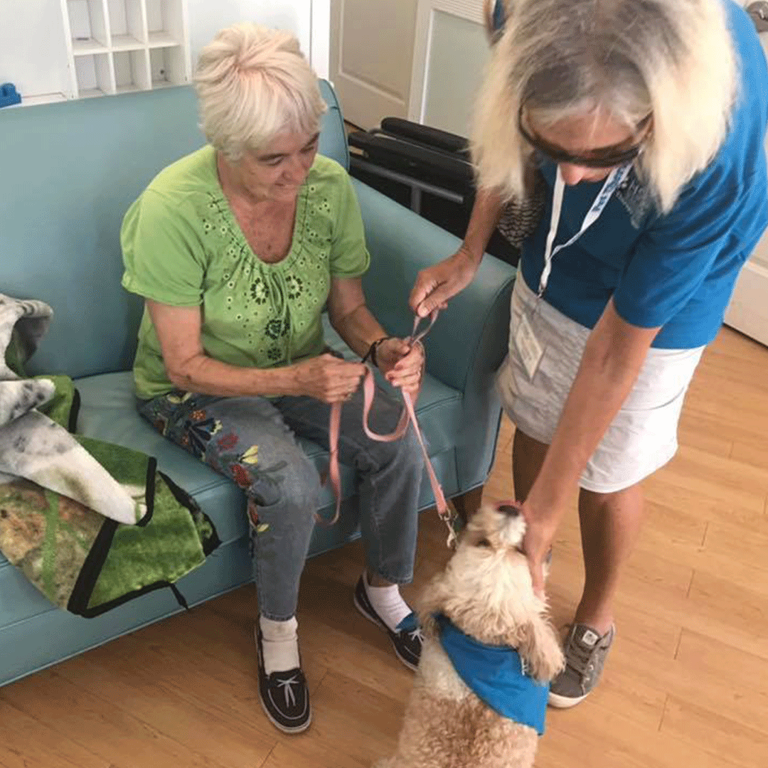 assisted living sarasota fl cost
