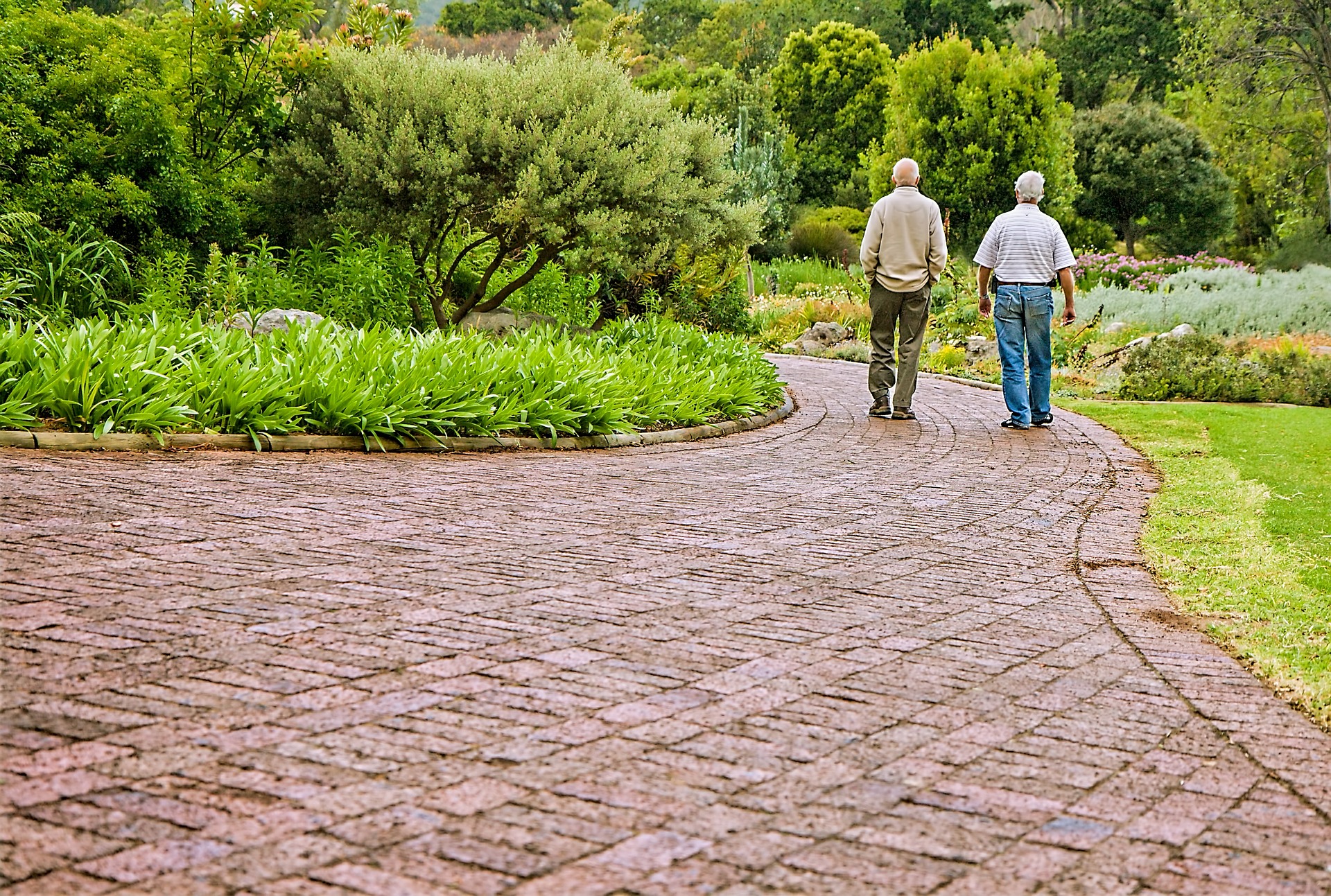 assisted living venice