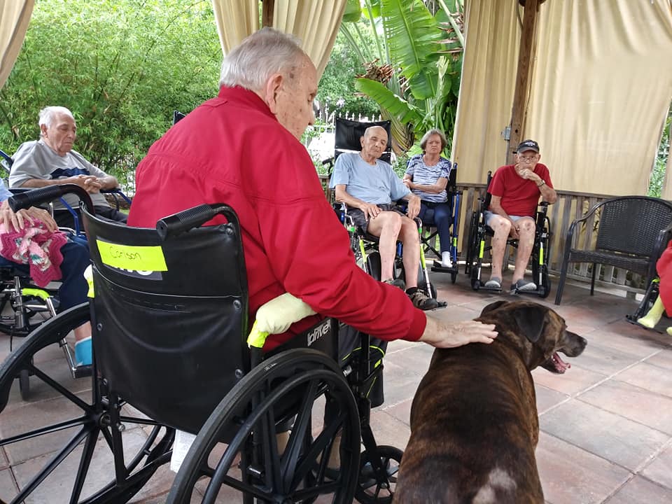 Chair bound 2025 exercises