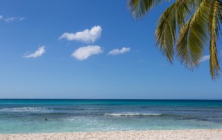 summer safety tips